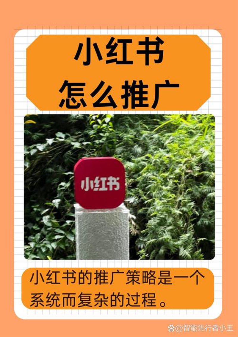 网络推广服务